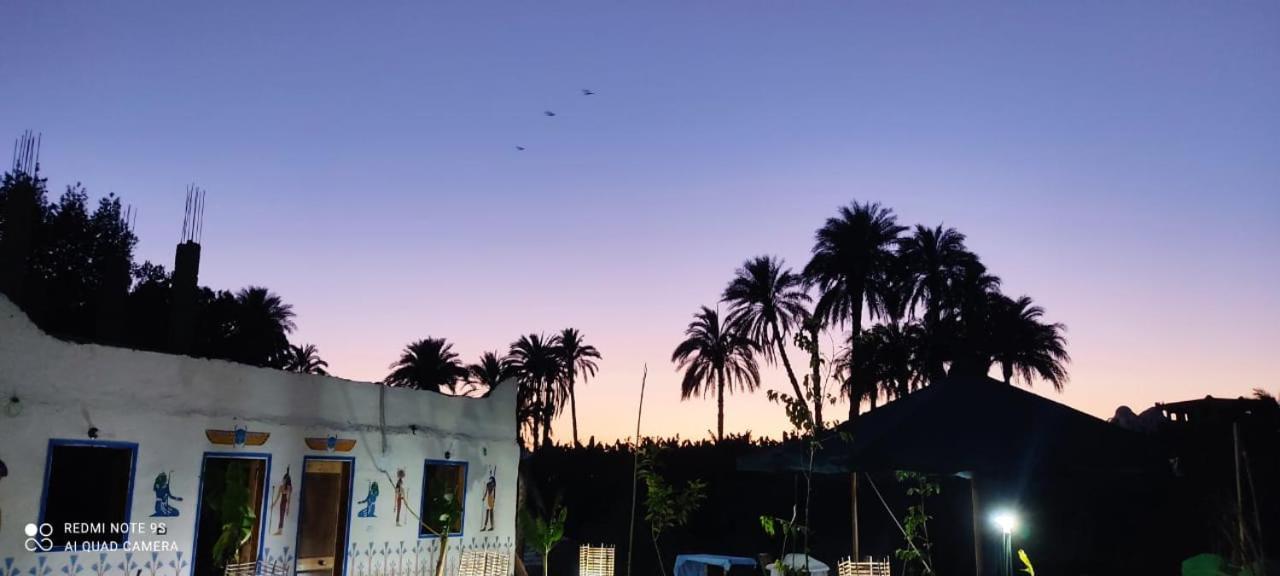 Old Nile الأقصر