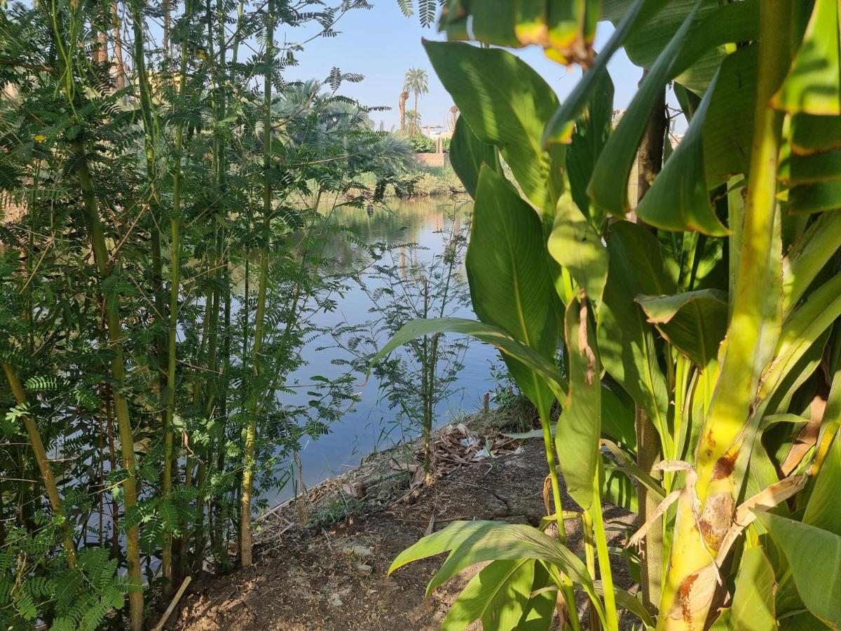 Old Nile