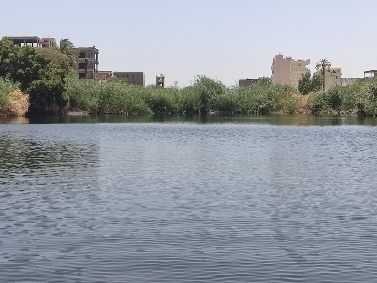 Old Nile فندق 2*