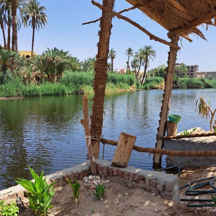 فندق Old Nile