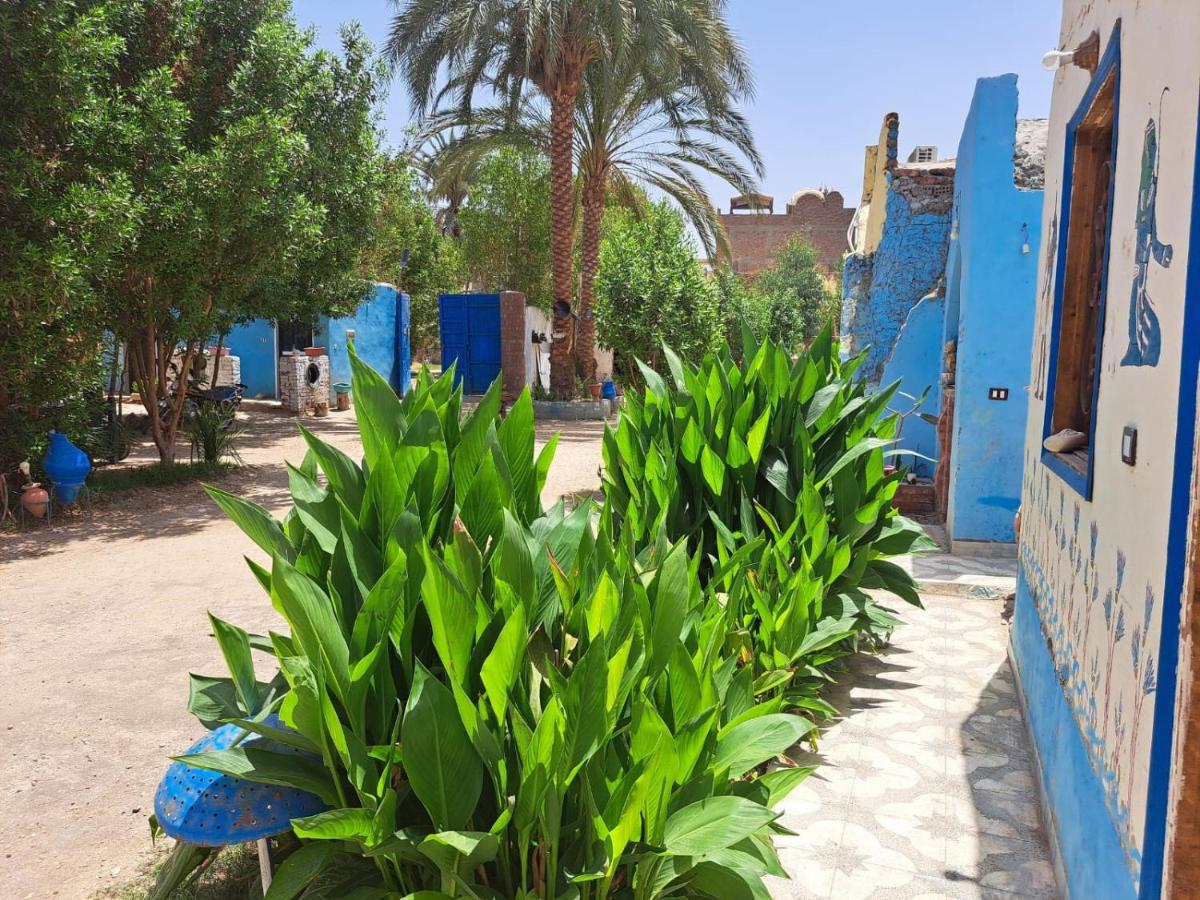 Old Nile 2* الأقصر