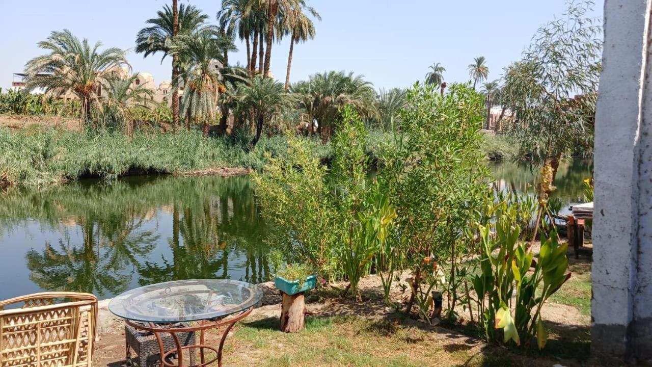 Old Nile فندق