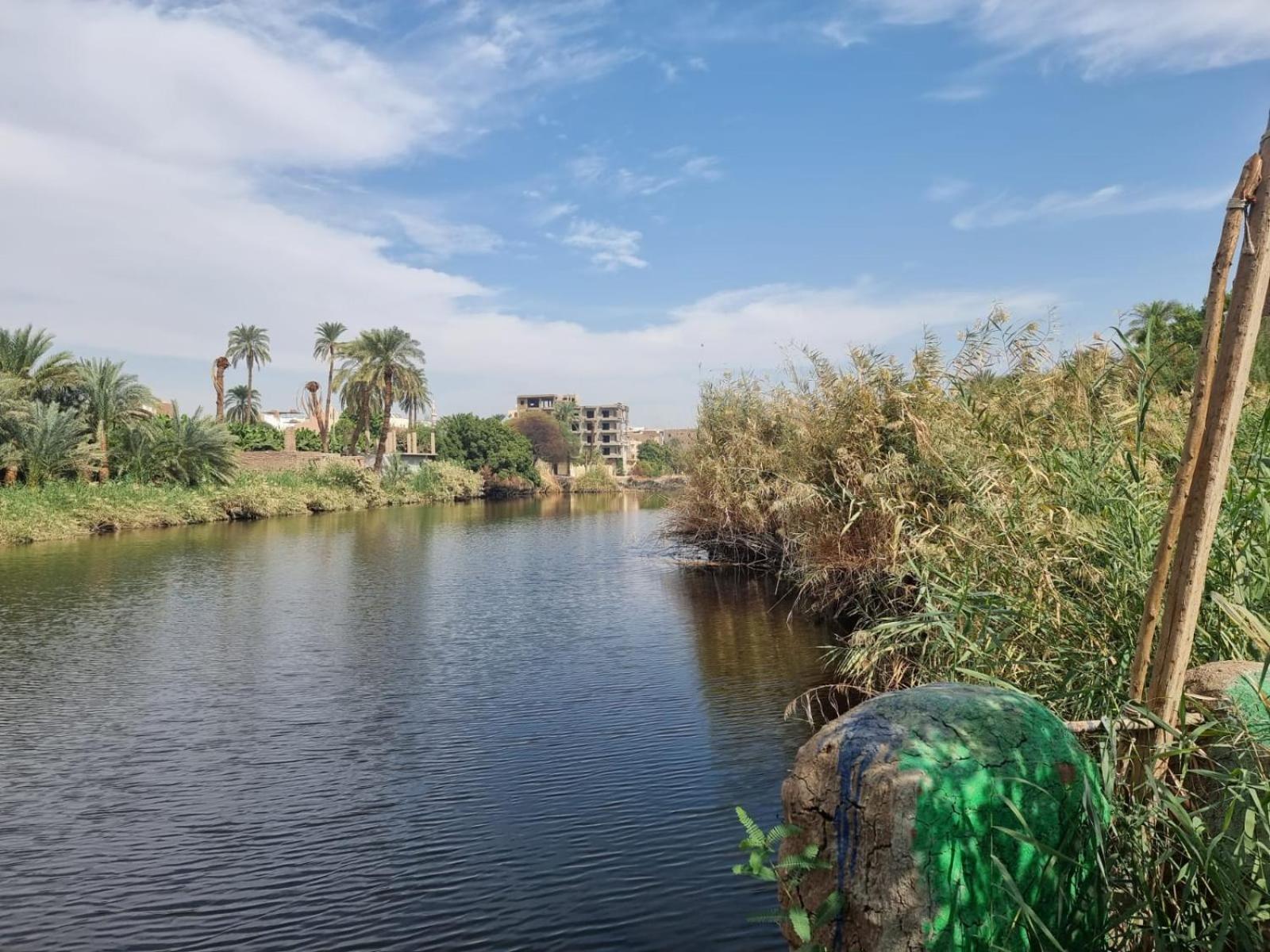 Old Nile 2*