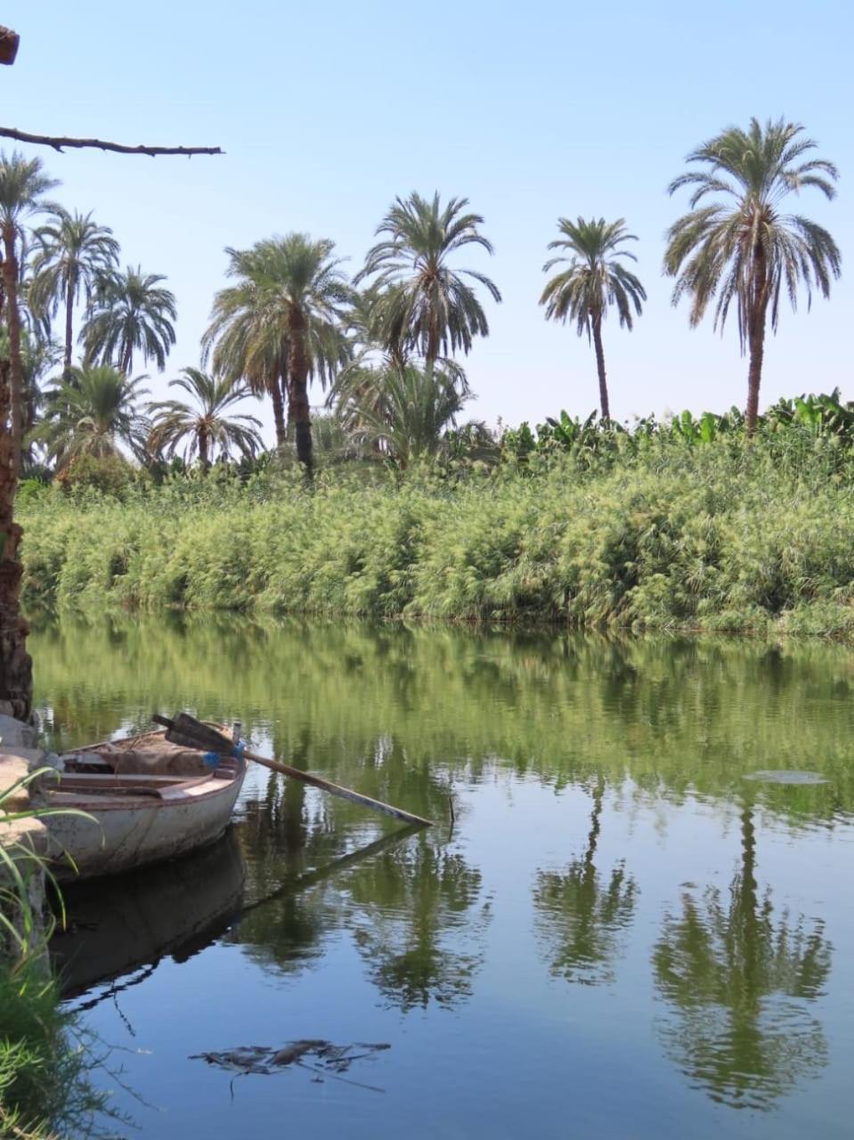Old Nile الأقصر